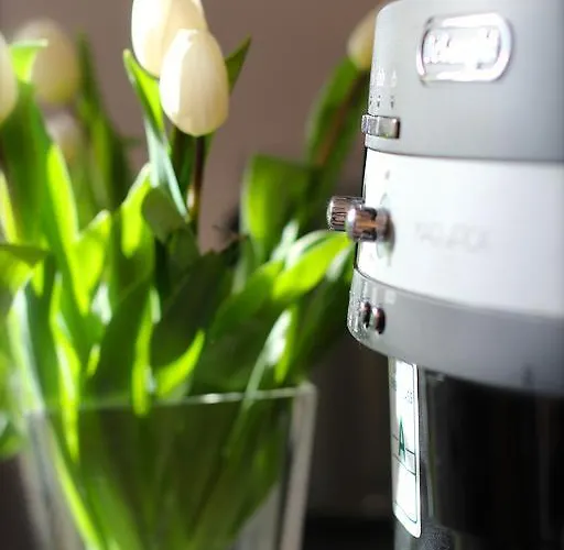 Apartment Kirchturmblick Euren Trier